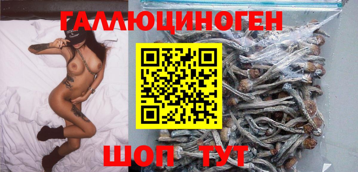 Галлюциногенные грибы MAGIC MUSHROOMS  Вход с VPN  Сердобск  Псилоцибиновые грибы Psilocybine cubensis 